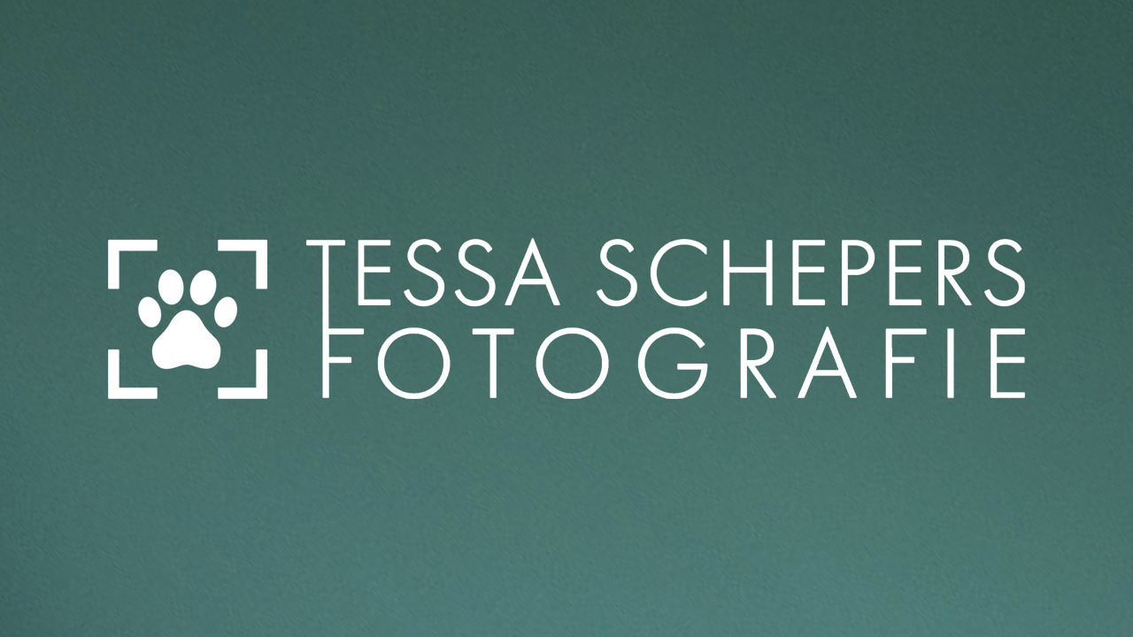 Tessa Schepers Fotografie